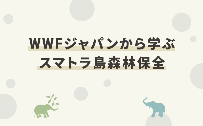 WWFジャパンから学ぶスマトラ島森林保全セミナーを開催しました！